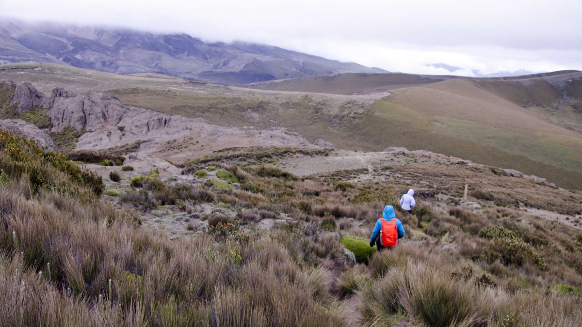 Polylepis Trail, Chimborazo Wildlife Reserve, Ecuador | ©Angela Drake / Not Your Average American