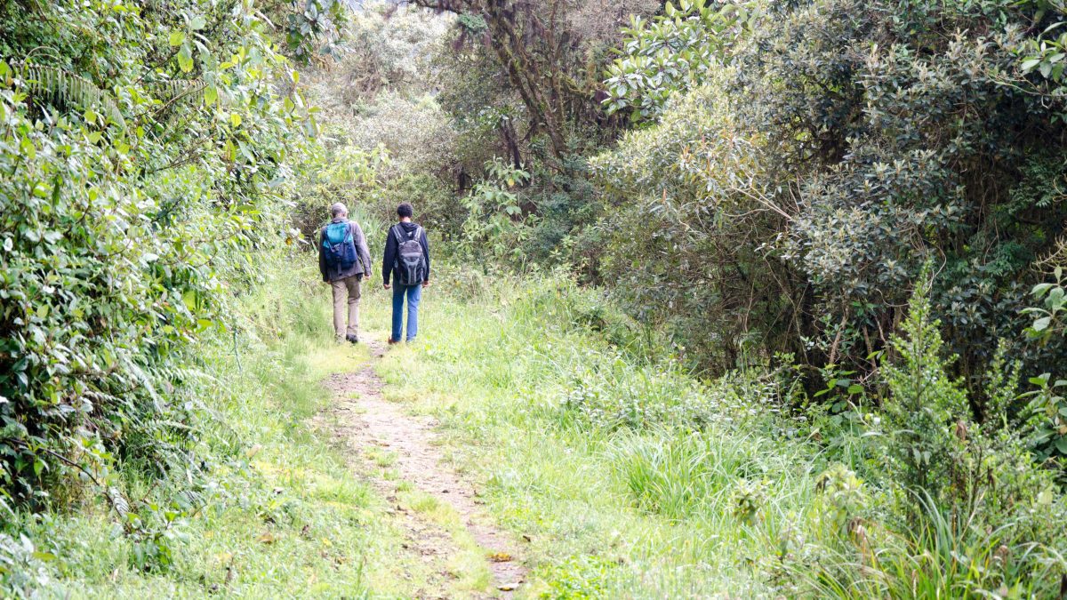 Exploring the Yanacocha Reserve near Quito, Ecuador | © Angela Drake