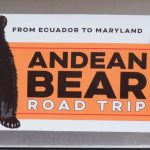 An Interview with Pinocchio the Andean Bear