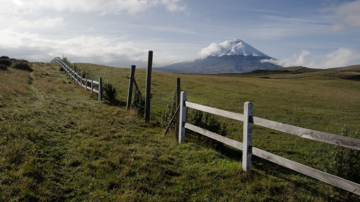 Cotopaxi from Los Mortiños | January 2014 | ©Angela Drake