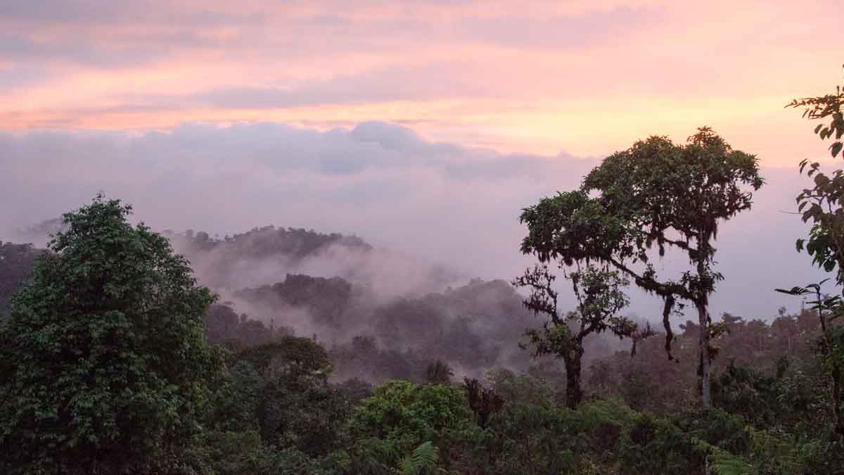 Sunset near the Refugio de Paz, part of the Choco Andino Biosphere Reserve, Ecuador | ©Angela Drake