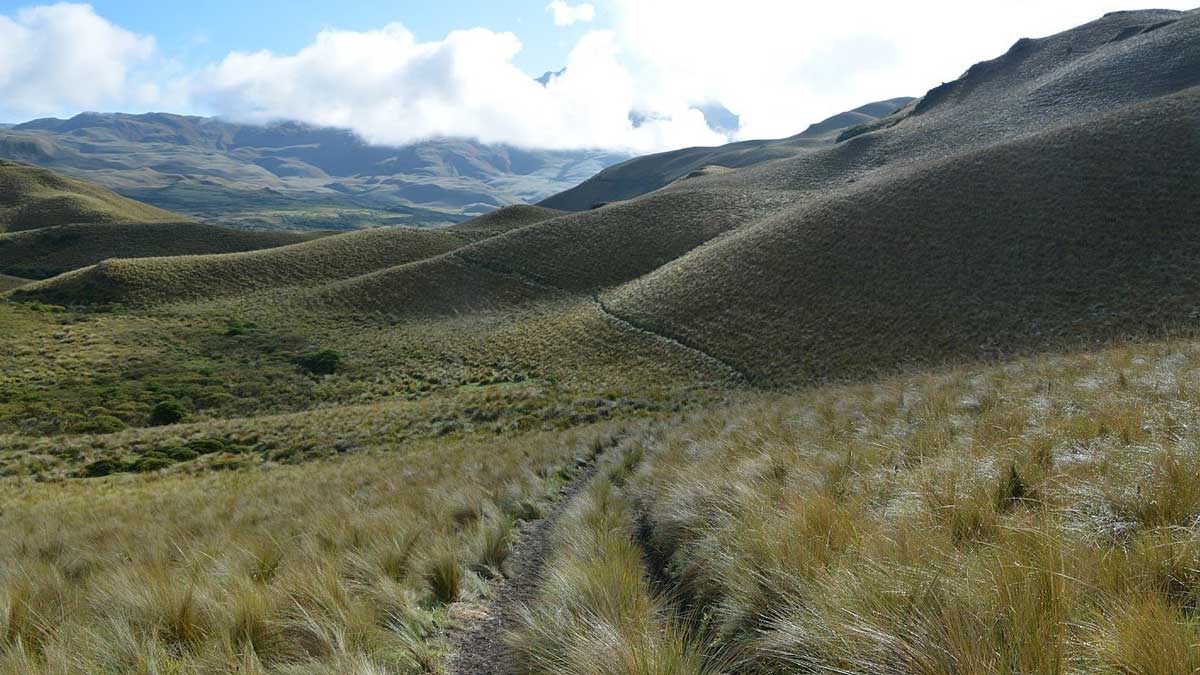 Backroads, Piñan, Ecuador | photo credit: David Sasaki