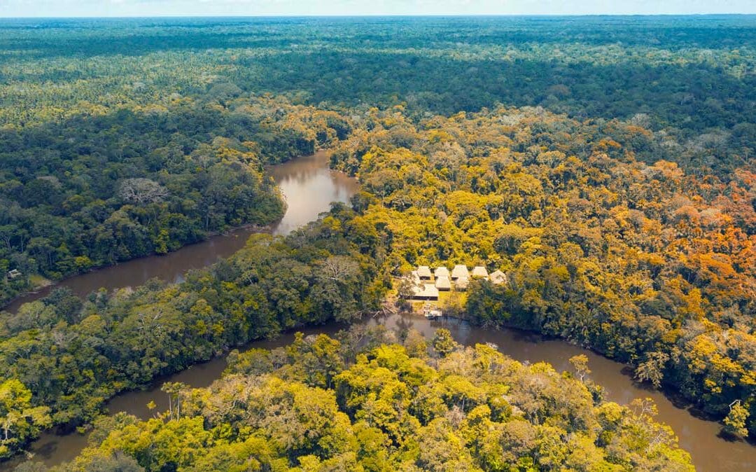 The Amazing Kichwa Lodge in Cuyabeno, Ecuador