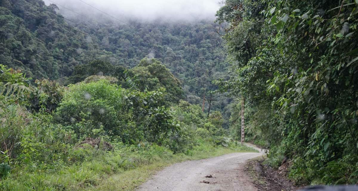 What to Expect Along Ecuador’s Hummingbird Route