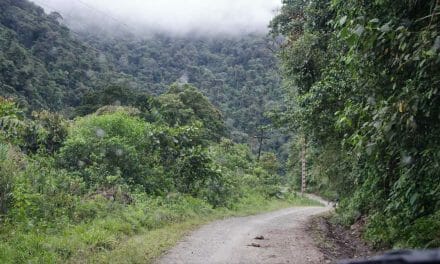 What to Expect Along Ecuador’s Hummingbird Route