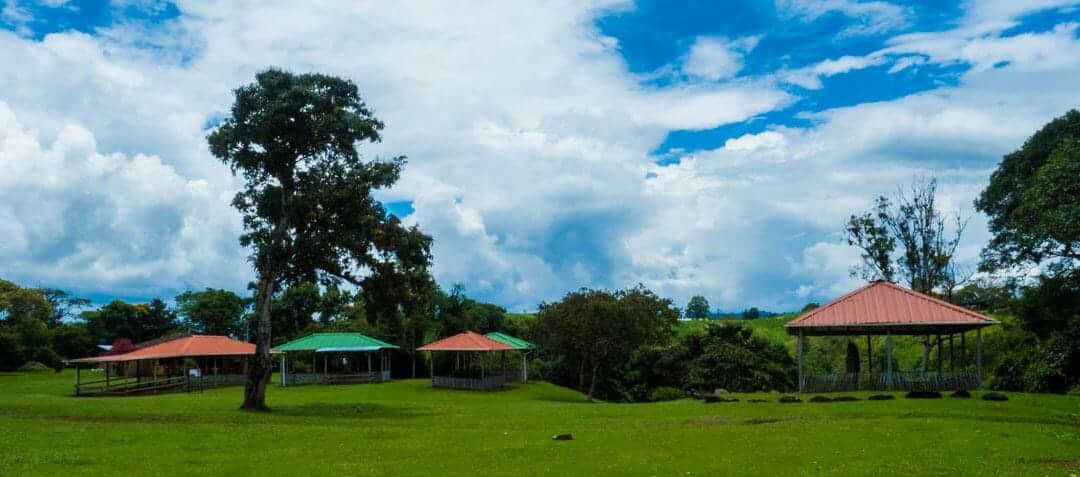 Our First Look At Ancient Stone Statues in Isnos, Colombia