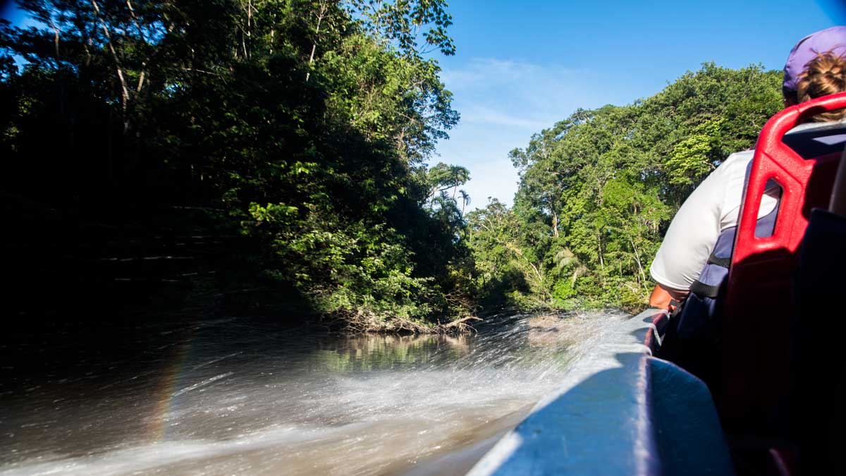 Sightseeing by Boat; Upper Cuyabeno, Ecuador | ©Angela Drake