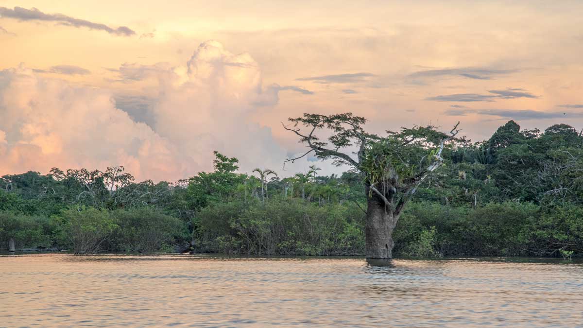 Laguna Grande, Cuyabeno, Ecuador | ©Angela Drake