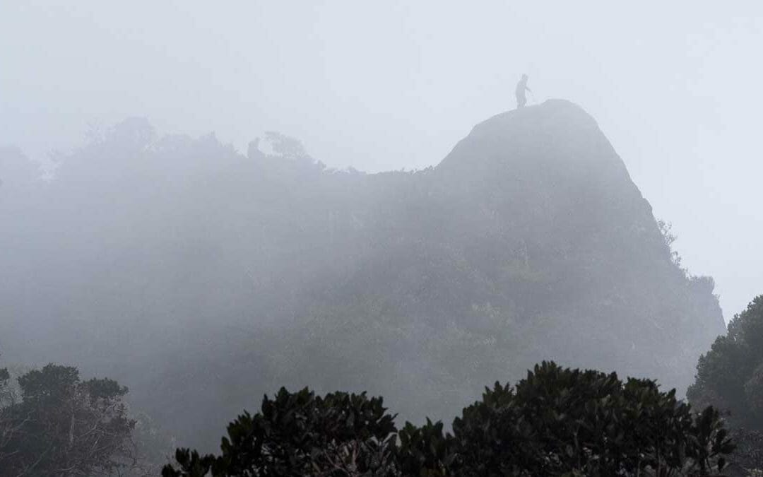 Where to See Andean Condors in Southern Colombia