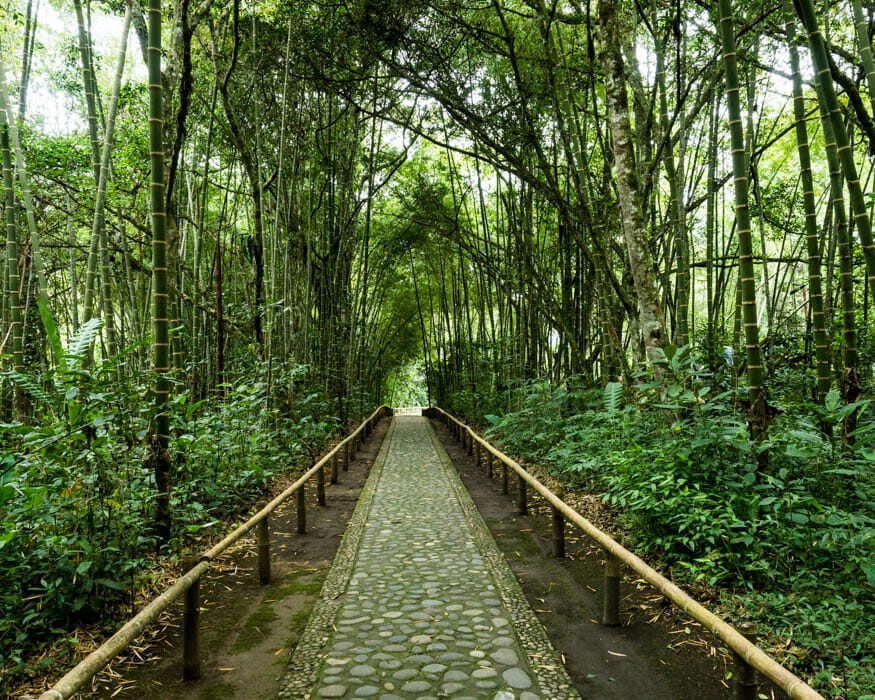 Forest trail at the San Agustin Outdoor Archeology Museum | ©Ernest Scott Drake