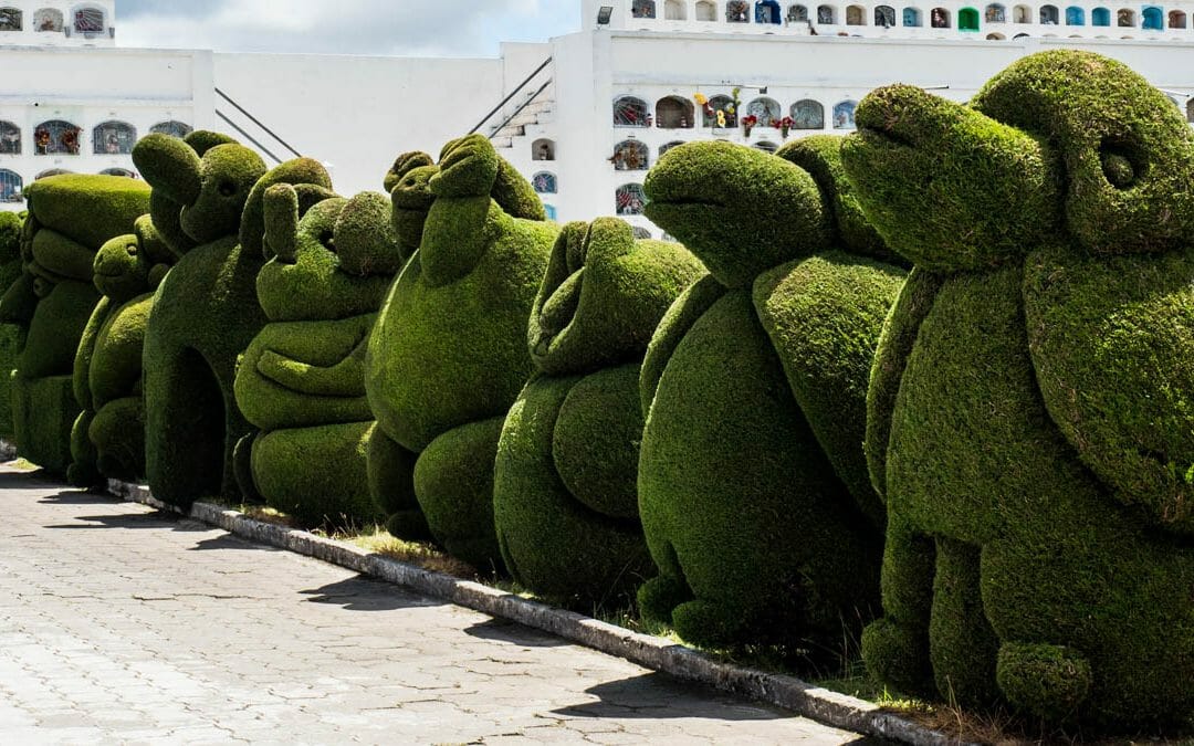 The Spectacular Topiaries of the Tulcan Cemetery