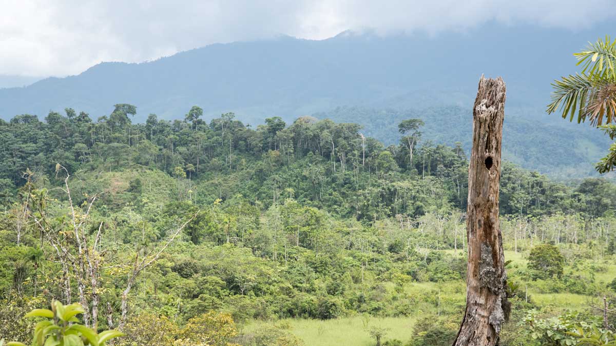 The foothills on the way to Cabañas Yankuam, Ecuador | ©Angela Drake