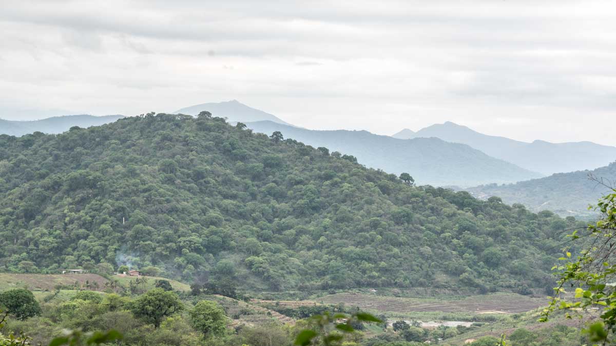 Looking towards Peru from the Jorupe Reserve, Macará, Ecuador | @Angela Drake