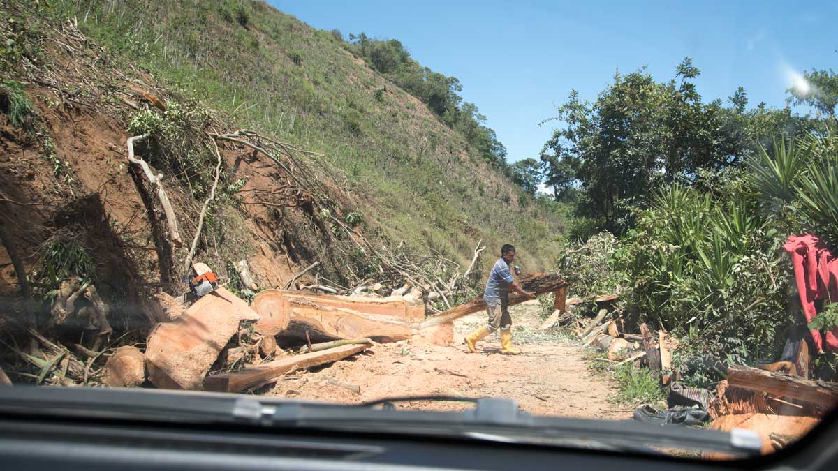 Clearing the road near San Antonio, Ecuador | ©Angela Drake