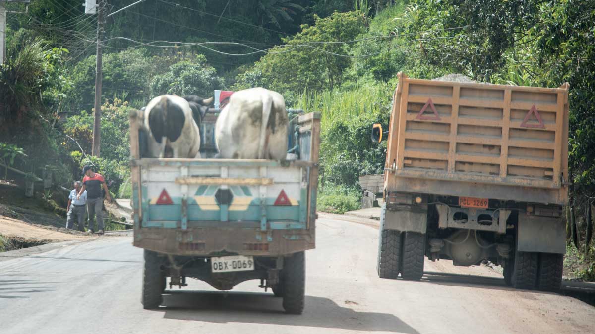 Typical traffic in rural Ecuador | ©Angela Drake
