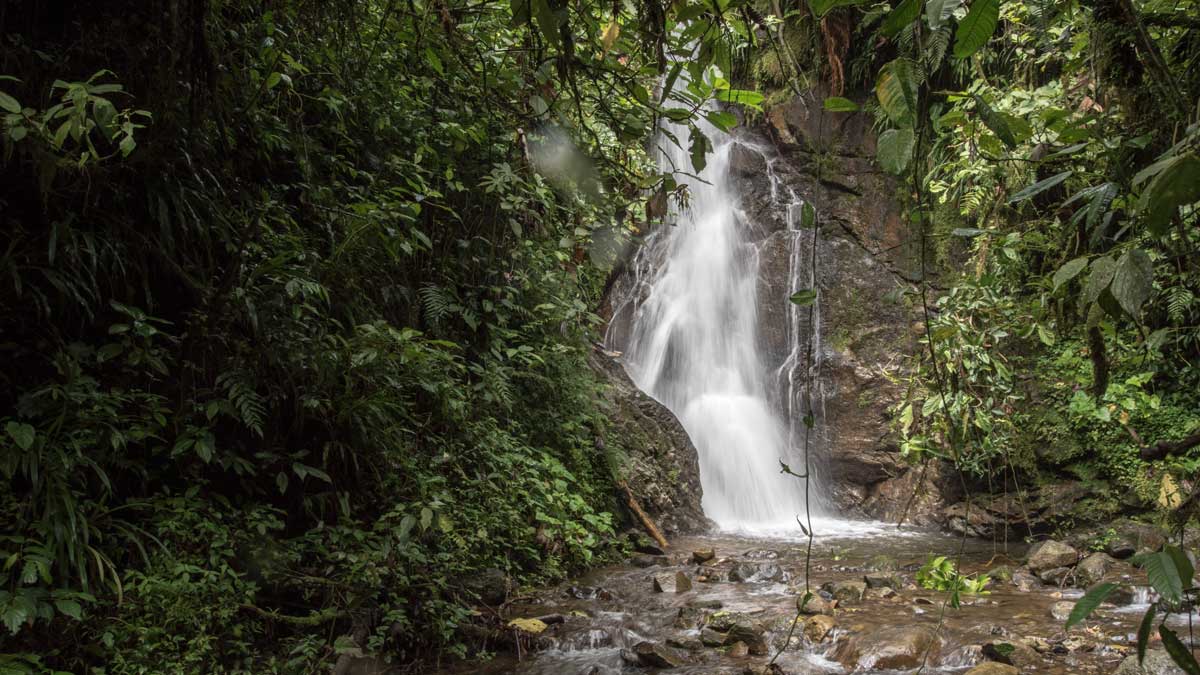 Waterfall that feeds into Cascada Plano Rumi, Ecuador | ©Angela Drake