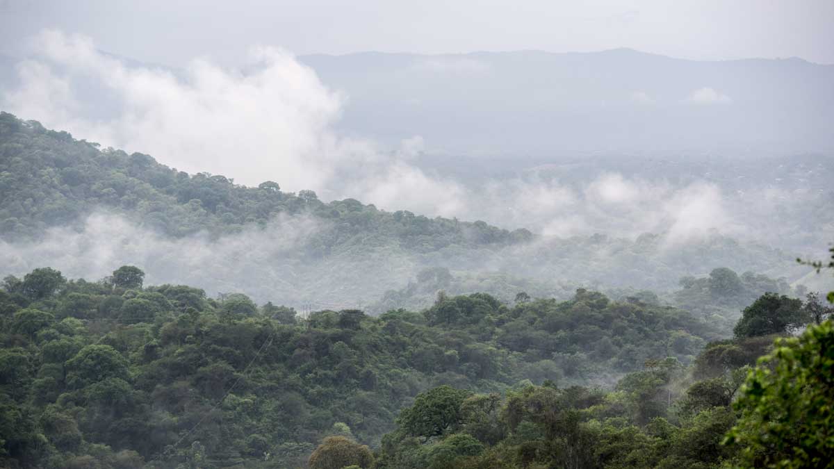 Views from Jorupe, Jorupe Reserve, Ecuador | ©Angela Drake