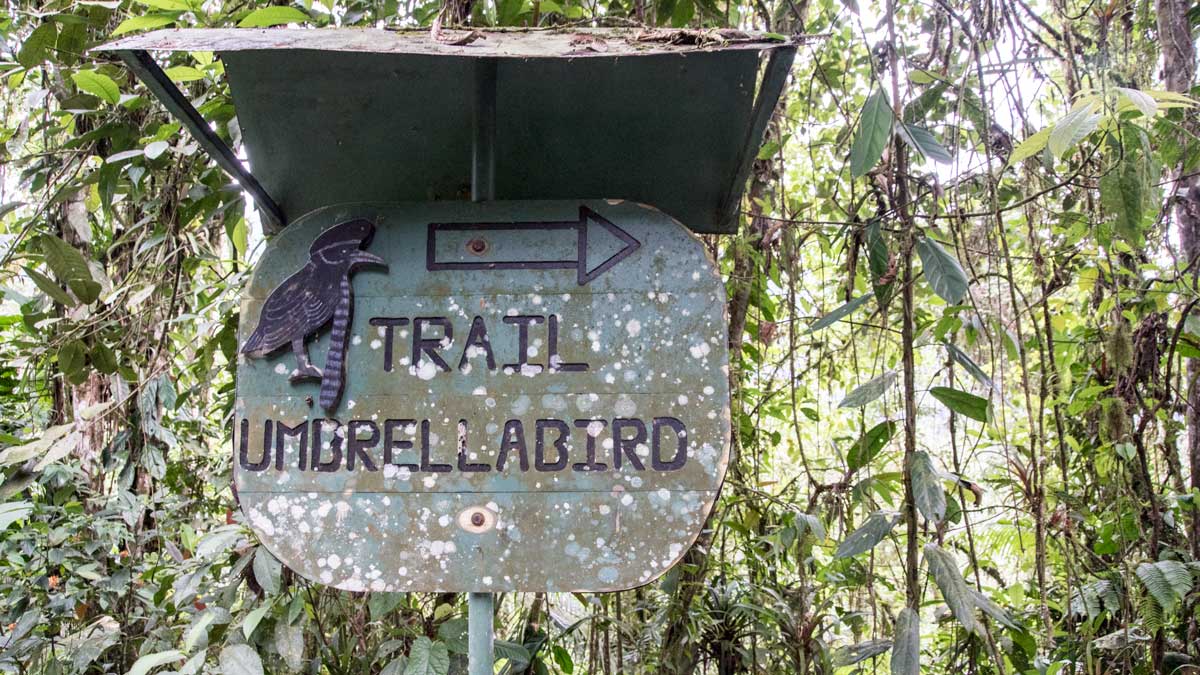 Sign to the Umbrellabird Trail, Buenaventura Reserve, Ecuador | ©Angela Drake