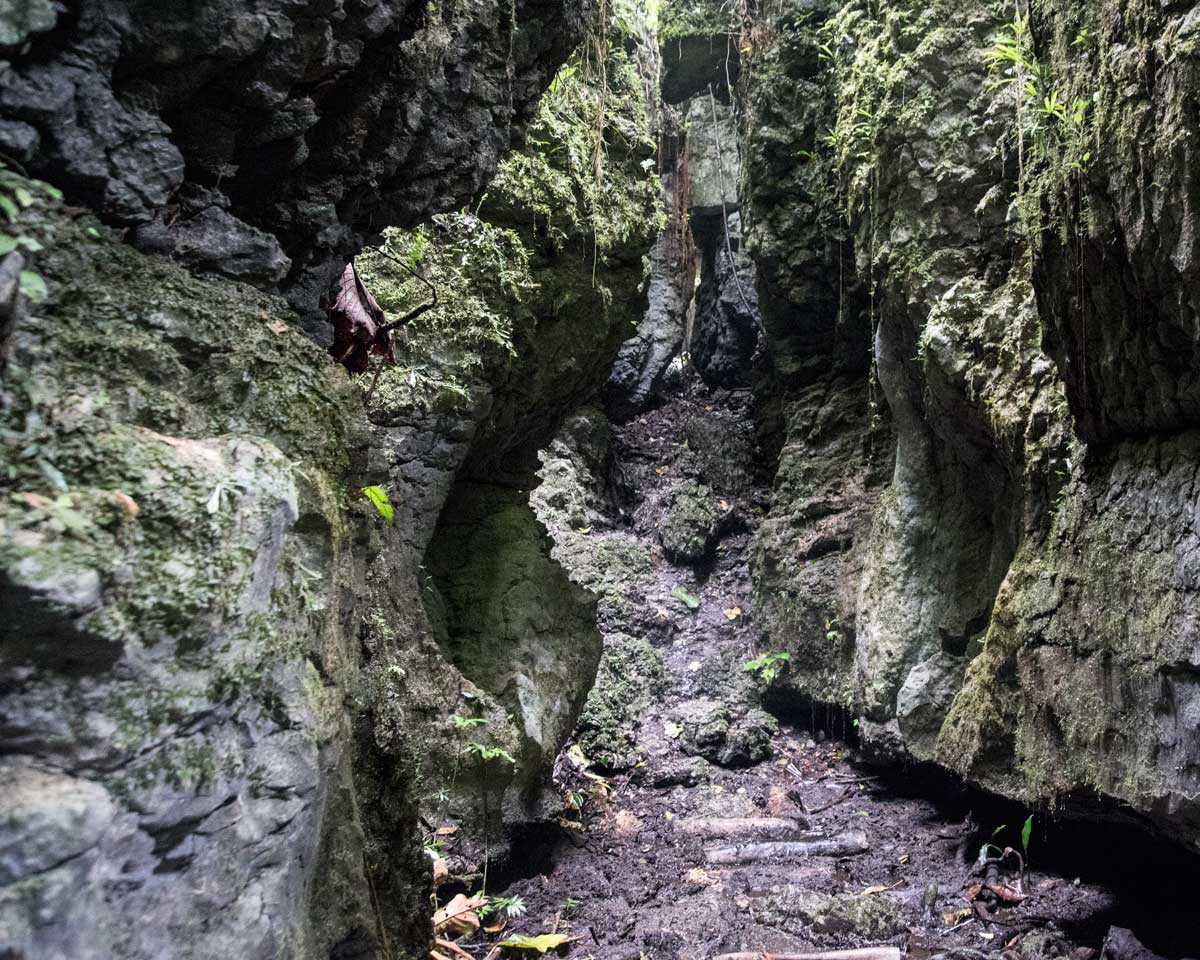 Path through the Labyrinth of a Thousand Illusions, Ecuador | ©Angela Drake