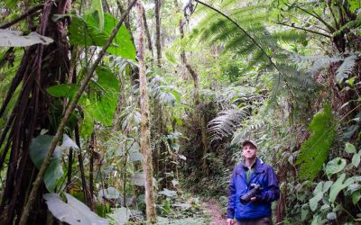 Bellavista Cloud Forest Reserve