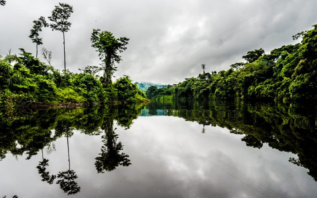 A Nangaritza River Cruise