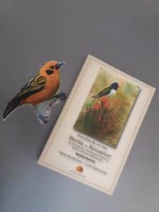 Filedbook of the Birds of Ecuador