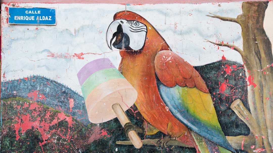 Parrot Mural Leading to the Isla del Pailon Trail, Rio Verde, Ecuador | ©Angela Drake