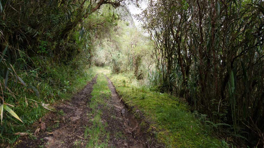 Camino de la Dispensa, Yanacocha, Ecuador | ©Angela Drake