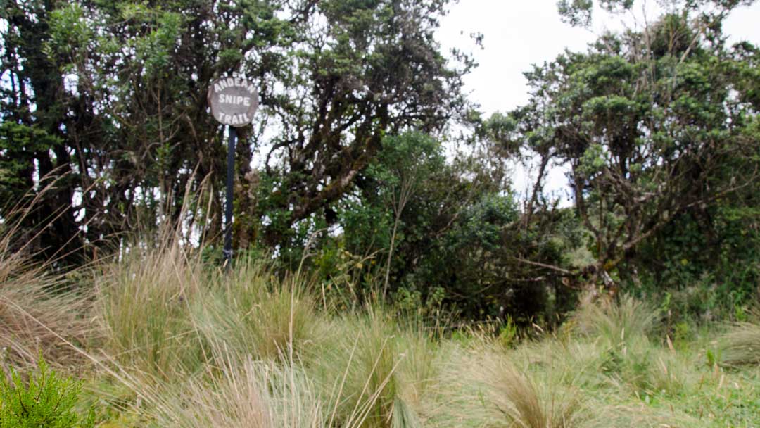 Can you see the Andean Snipe Trail Sign? | ©Angela Drake