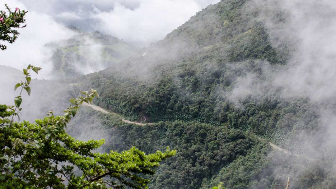 View from the Andean Snipe Trail, Yanacocha Reserve, Ecuador | ©Angela Drake