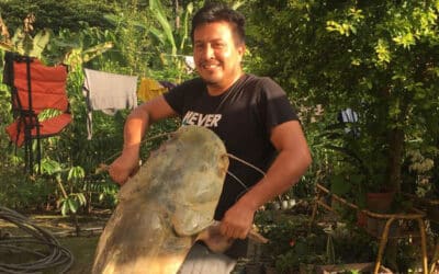 Giant Catfish in the Amazon