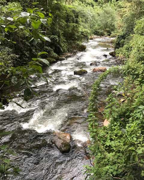 Rio Pisque, Imbabura, Ecuador | ©Becky Wandell