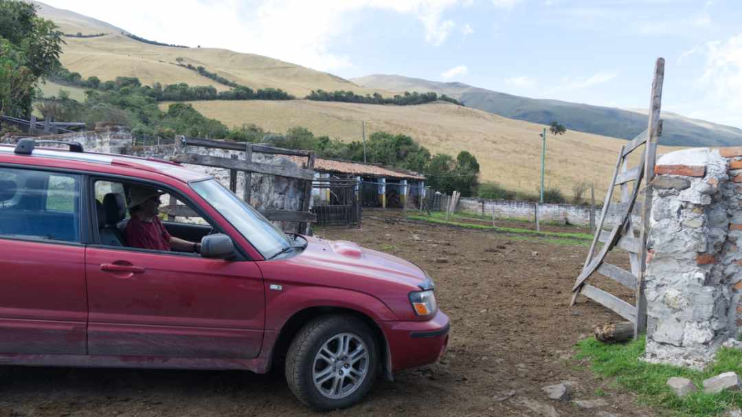 Driving Through The Paddock | ©Angela Drake