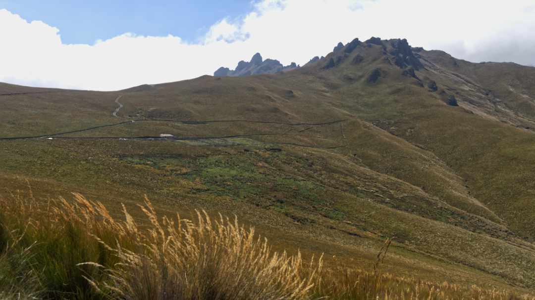 Almost to the Cerro Puntas Trailhead | ©Angela Drake