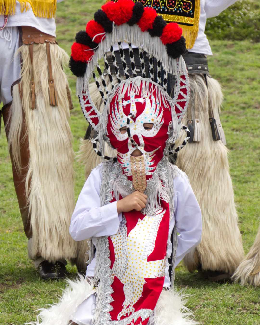 A Young Aya-Huma from Tabacundo, Ecuador| ©Angela Drake