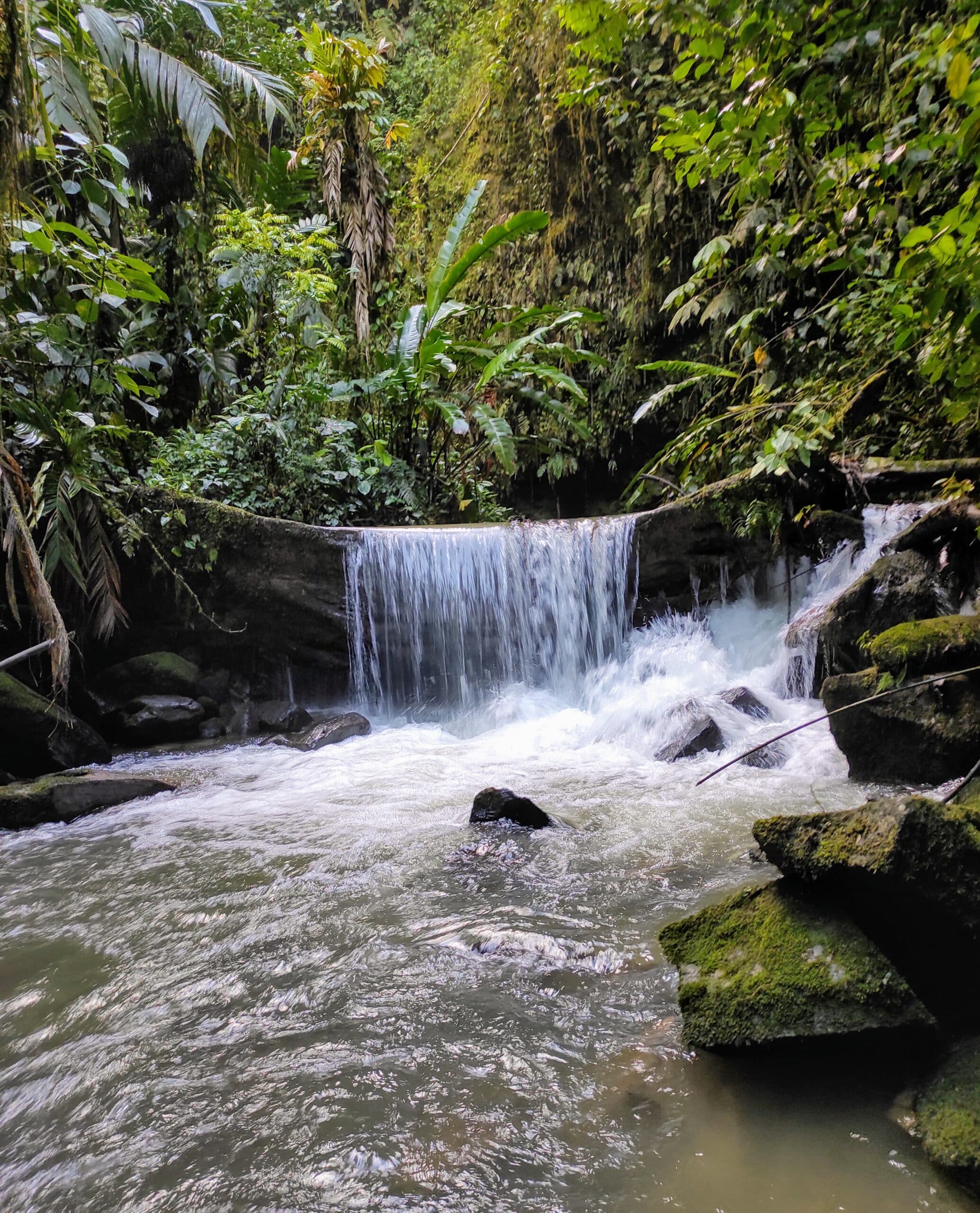 Waterfall, San Francisco de Borja, Napo Province ©Jacqueline Granda