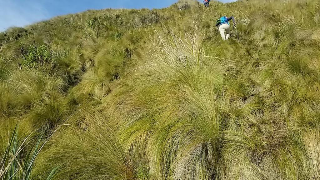 The climb of Taita Imbabura | ©Edison Benitez