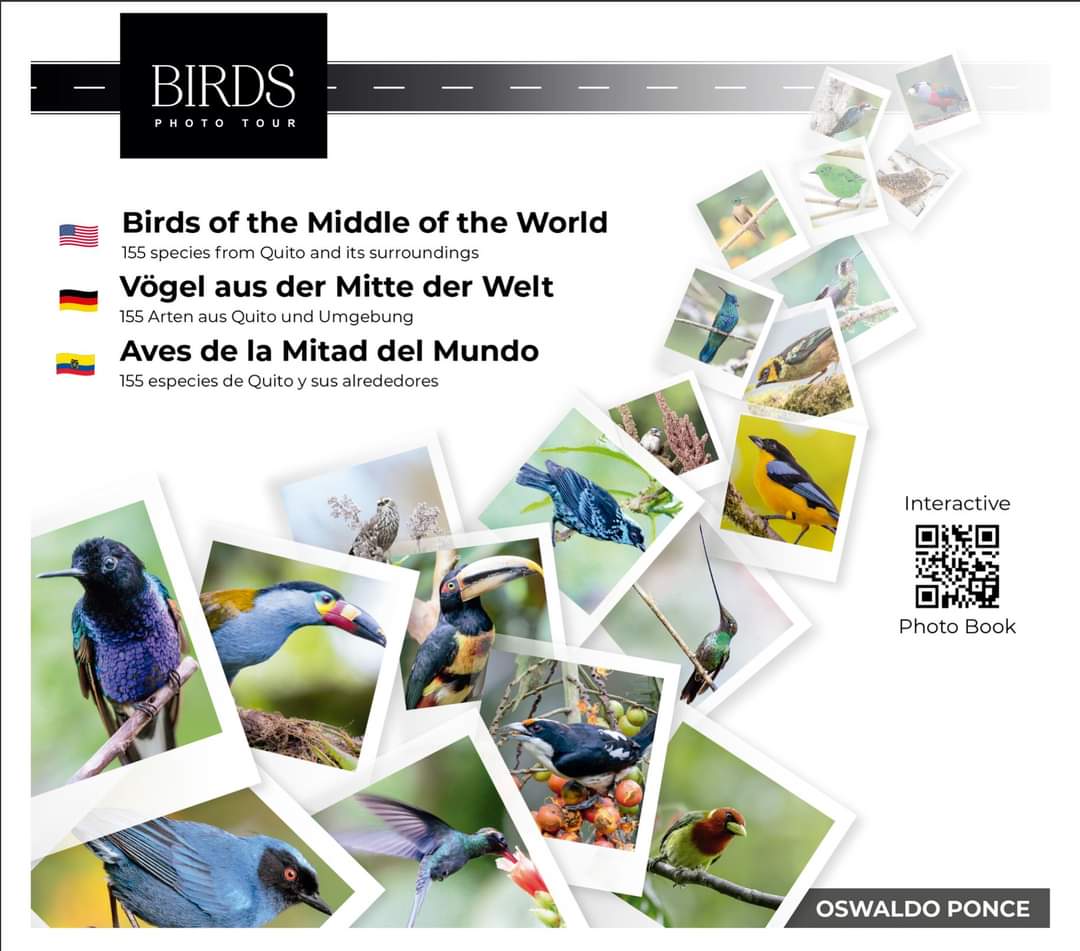 Birds of the Middle of the World| ©Oswaldo Ponce
