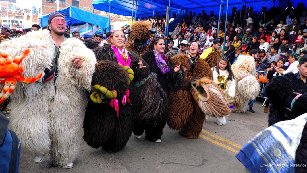 Participants of the procession dressed as bears in black, brown, and white colors
