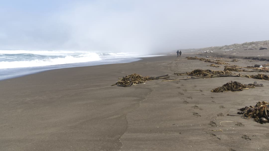 Footsteps in the sand lead to a couple in the distance with ocean waves crashing down on the lefthand side