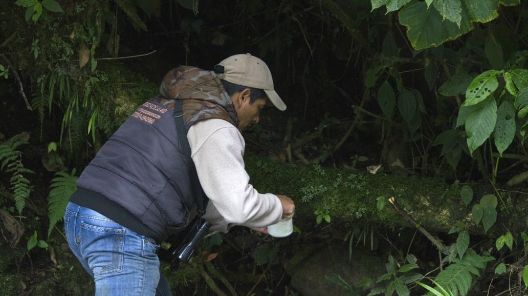 A man places worms on a log in a dark corner of the forest