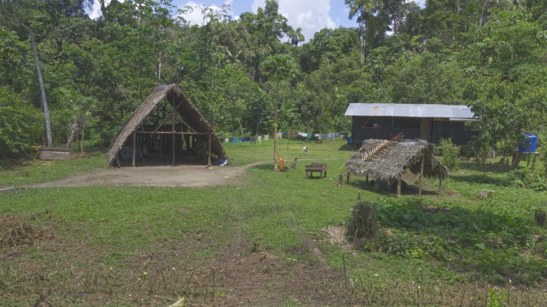 Two small huts and a trailer sized building with a tin roof sit in an open field surrounded by forest