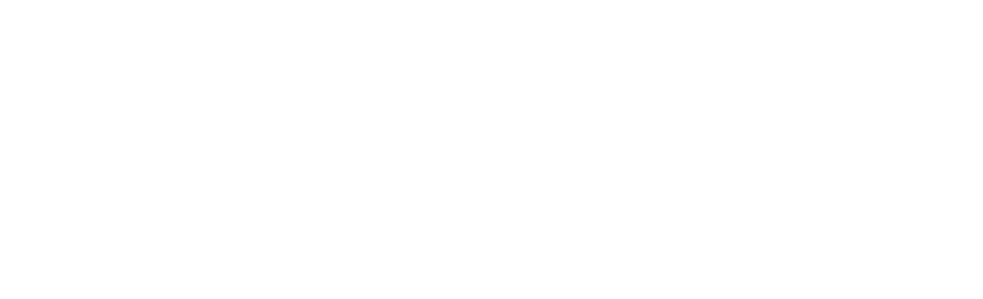 Natural International White Logo