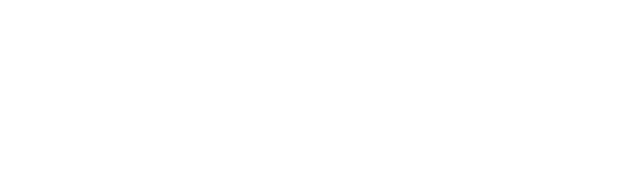 Natura-International-Logo-white-3 Natural International White Logo