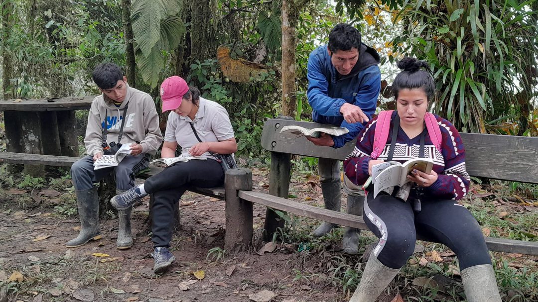 Sergio reaches over a bench to point out a bird in a guide book to a young woman learning how to identify birds