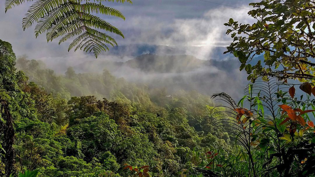 The Mashpi Amagusa Reserve In Danger Of Losing Land