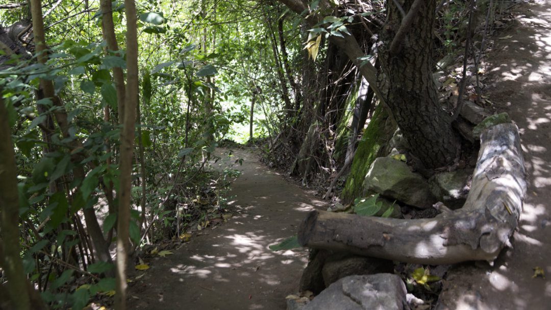 Shaded path that enters the Wayqu at PomasQuinde