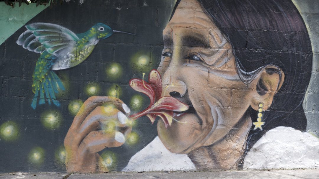 Mural painted on the wall outside PomasQuinde includes an Ecuadorian woman smelling a flower and a brilliant blue and green hummingbird