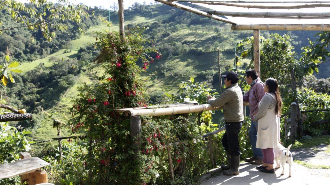 Vinicio, Anita, and Alejandro enjoying the birds and the gorgeous view from the garden at their reserve