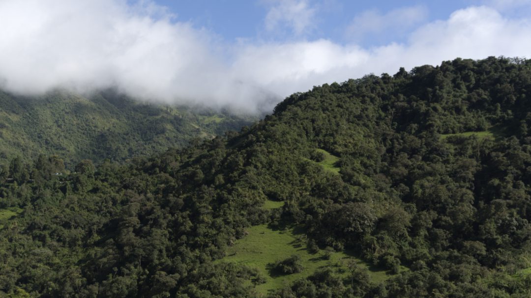 The forest covered hillsides across from the viewing point of the Maraksacha Reserve show incursions from cattle pasture